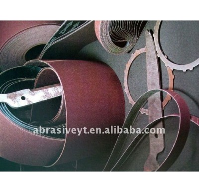 electrostatic adhesion endless abrasive belt